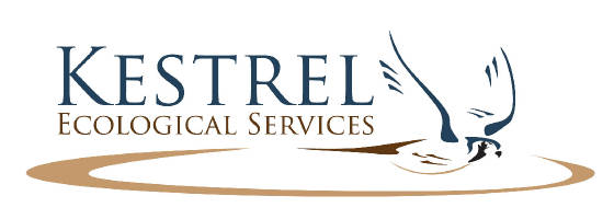 kestrel-logo-04-29-09-rgb.jpg